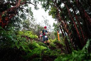 BIB: 
                            <button type="button" onclick="openModal(26201679)" class="btn btn-primary btn-sm float-right btn-popup" data-toggle="modal" data-target=".modal-high-quality">
                        <i class="fas fa-shopping-cart"></i> Add to Cart
                    </button>
                                            <button type="button" onclick="isThisMe(26201679, true)" class="btn btn-success btn-sm float-right btn-popup btn-isme hidden" data-toggle="tooltip" data-placement="bottom" title="นี่คือรูปของคุณใช่ไหม คลิกที่นี่เพื่อเอาเข้าอัลบั้ม">
                        <i class="fas fa-plus"></i> Add to album
                    </button>
                    <button type="button" onclick="isThisMe(26201679, false)" class="btn btn-warning btn-sm float-right btn-popup btn-isnotme hidden">
                        <i class="fas fa-ban"></i> Remove from album
                    </button>